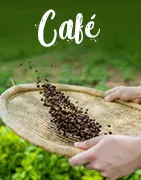 Café em grão | Frescura e qualidade premium